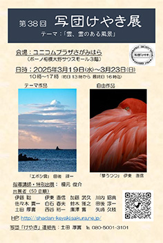 ʒc₫-38񂯂₫W
